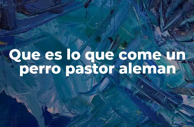 Que es Lo que Come un Perro Pastor Aleman