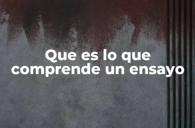 Que es Lo que Comprende un Ensayo