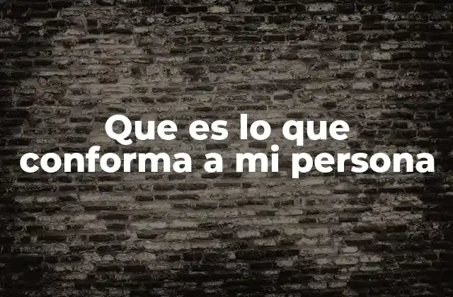 Que es Lo que Conforma a Mi Persona