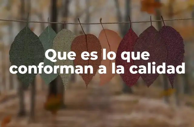 Que es Lo que Conforman a la Calidad
