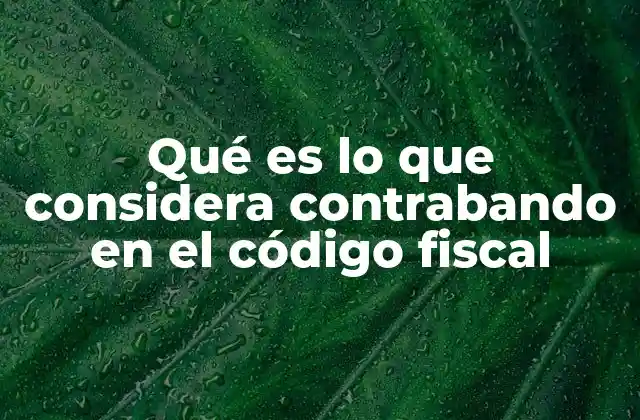 Qué es Lo que Considera Contrabando en el Código Fiscal