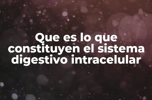 Que es Lo que Constituyen el Sistema Digestivo Intracelular