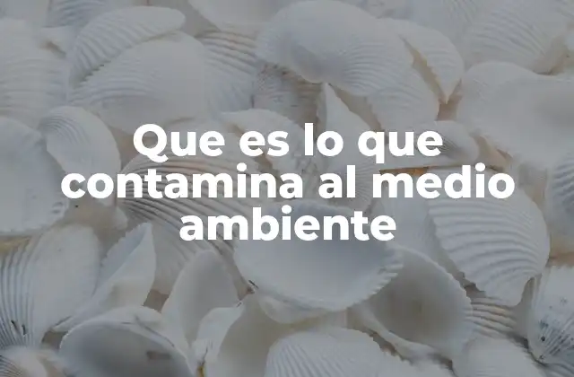 Que es Lo que Contamina Al Medio Ambiente
