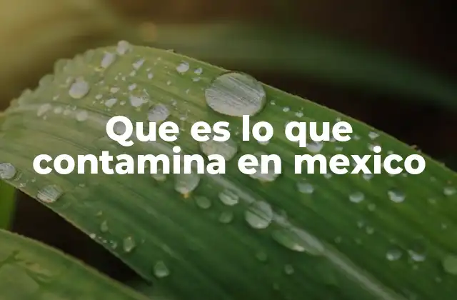Las fuentes más críticas de contaminación en México