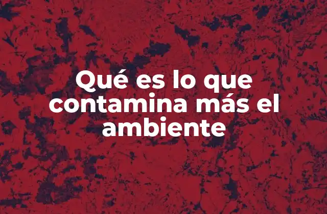 Qué es Lo que Contamina Más el Ambiente