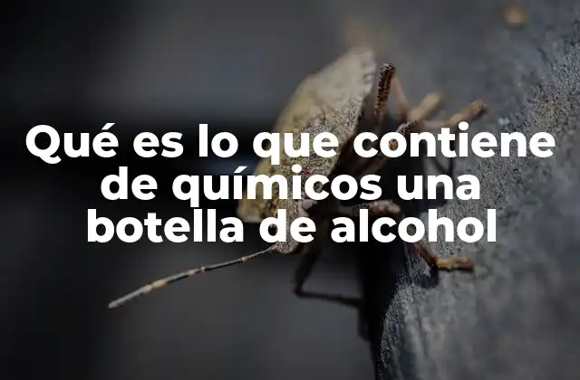 La química detrás del sabor y aroma del alcohol