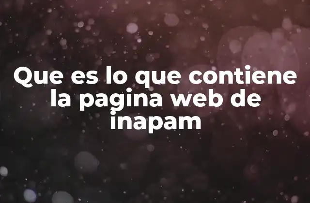 Que es Lo que Contiene la Pagina Web de Inapam