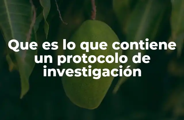 Que es Lo que Contiene un Protocolo de Investigación