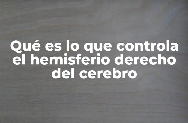 Qué es Lo que Controla el Hemisferio Derecho Del Cerebro 2 La dualidad cerebral y la especialización funcional