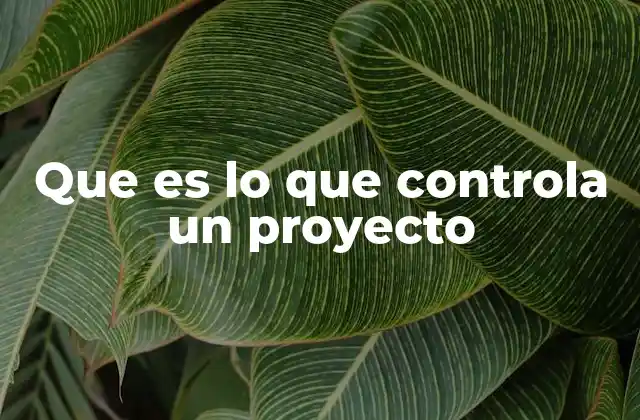 Que es Lo que Controla un Proyecto