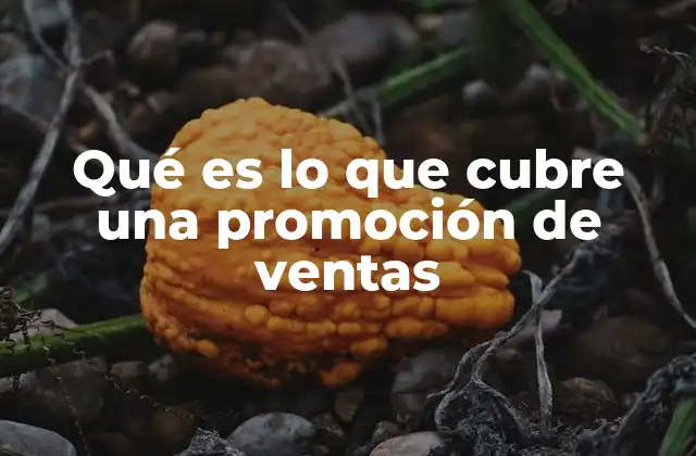 Qué es Lo que Cubre una Promoción de Ventas