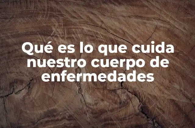 Cómo funciona el sistema que protege a nuestro cuerpo