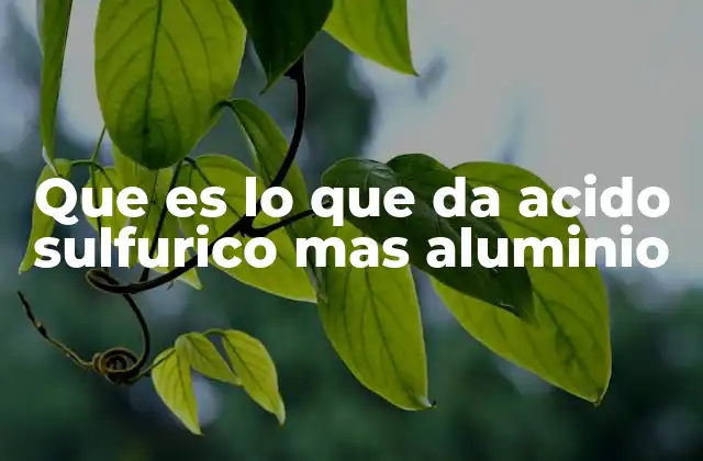 Que es Lo que Da Acido Sulfurico mas Aluminio