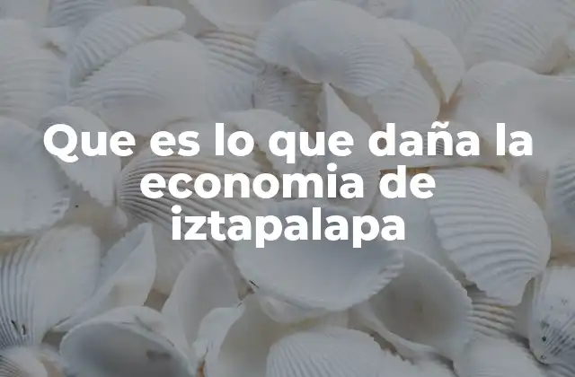 Que es Lo que Daña la Economia de Iztapalapa