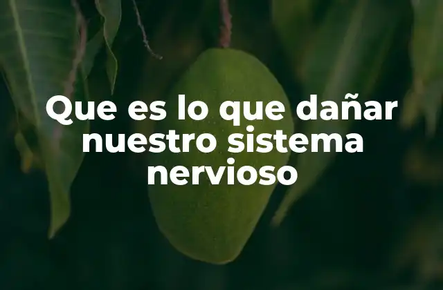 Que es Lo que Dañar Nuestro Sistema Nervioso