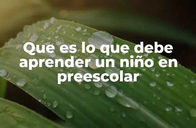 Que es Lo que Debe Aprender un Niño en Preescolar