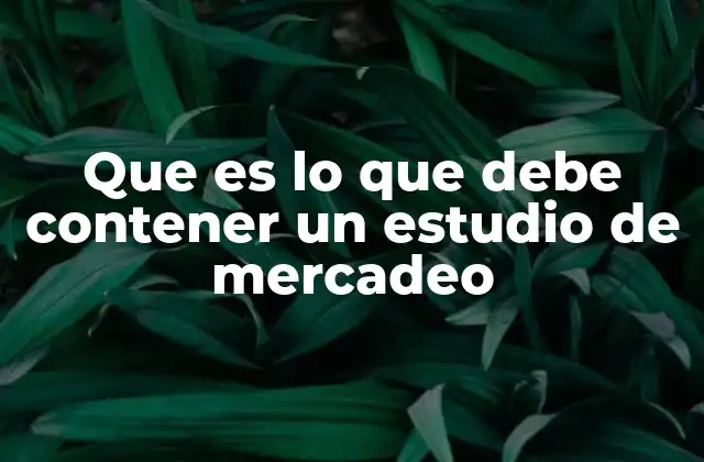 Que es Lo que Debe Contener un Estudio de Mercadeo 2 Cómo un estudio de mercadeo puede influir en la toma de decisiones empresariales