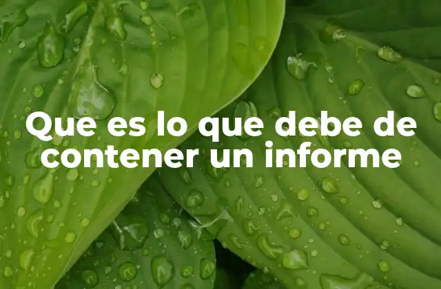 Que es Lo que Debe de Contener un Informe
