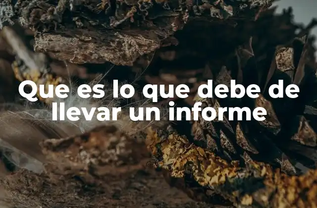 Que es Lo que Debe de Llevar un Informe