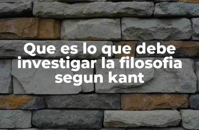 Que es Lo que Debe Investigar la Filosofia Segun Kant