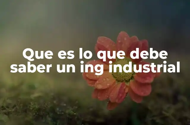 Que es Lo que Debe Saber un Ing Industrial