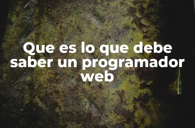 Que es Lo que Debe Saber un Programador Web