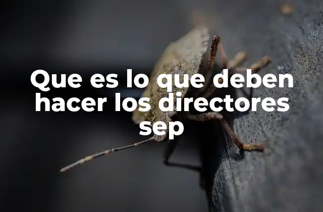 Que es Lo que Deben Hacer los Directores Sep
