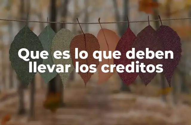 Que es Lo que Deben Llevar los Creditos