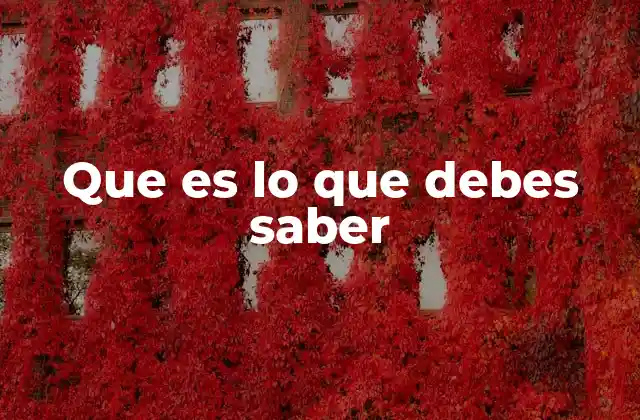 Que es Lo que Debes Saber