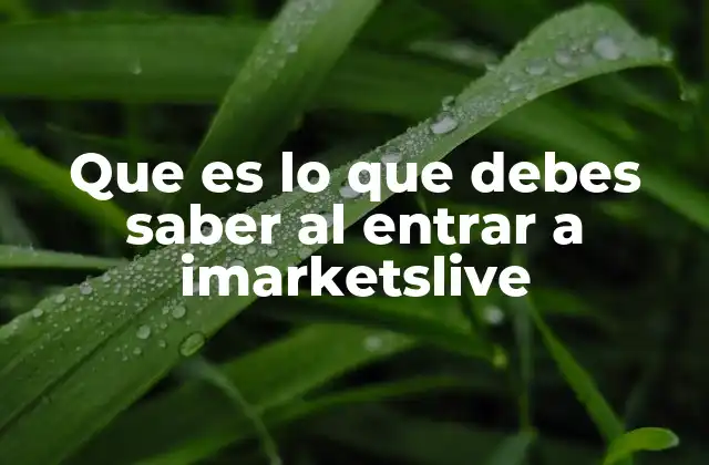 Que es Lo que Debes Saber Al Entrar a Imarketslive