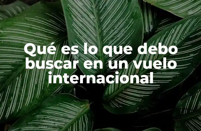 Qué es Lo que Debo Buscar en un Vuelo Internacional