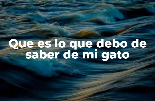 Que es Lo que Debo de Saber de Mi Gato