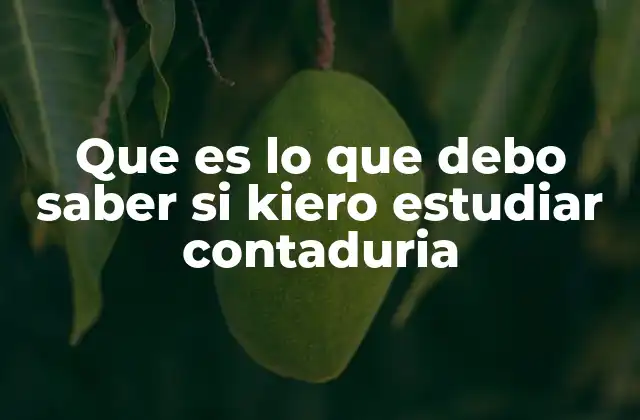 Que es Lo que Debo Saber Si Kiero Estudiar Contaduria
