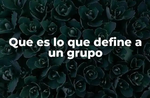 Que es Lo que Define a un Grupo