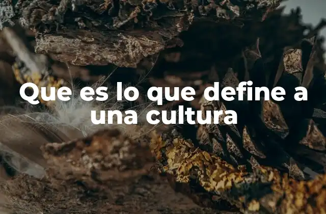 Que es Lo que Define a una Cultura