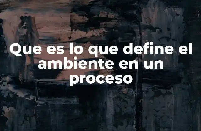 Que es Lo que Define el Ambiente en un Proceso