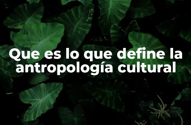 El enfoque holístico de la antropología cultural