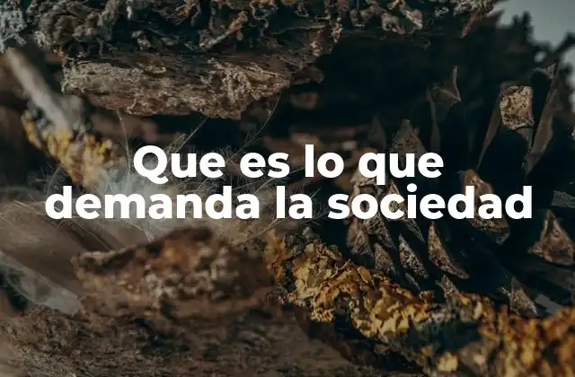 Que es Lo que Demanda la Sociedad