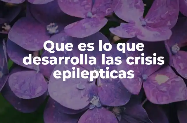 Que es Lo que Desarrolla las Crisis Epilepticas