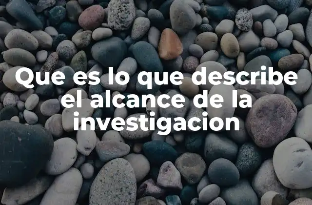 Que es Lo que Describe el Alcance de la Investigacion