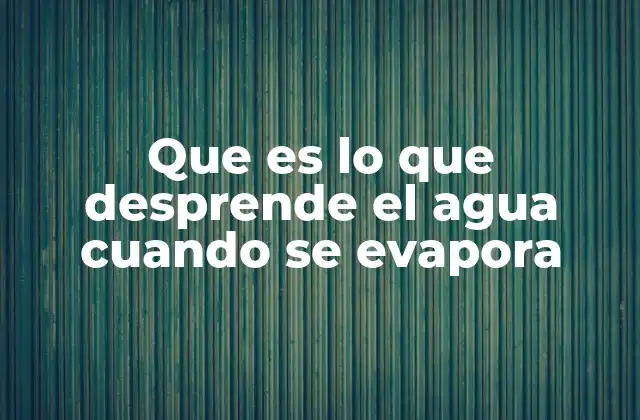 La evaporación del agua y su impacto en el entorno
