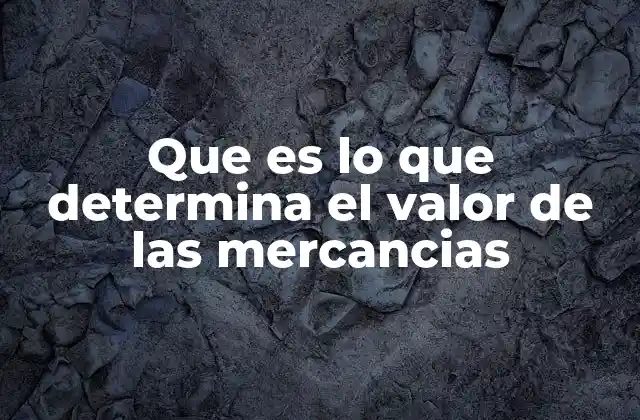 Factores que influyen en la formación del valor de los productos