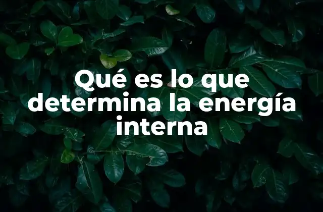 Qué es Lo que Determina la Energía Interna