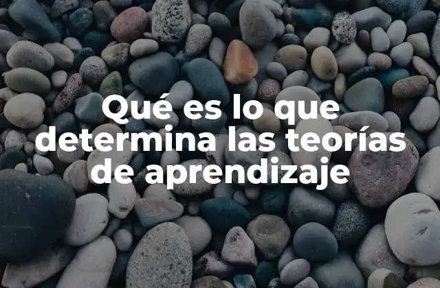 Qué es Lo que Determina las Teorías de Aprendizaje