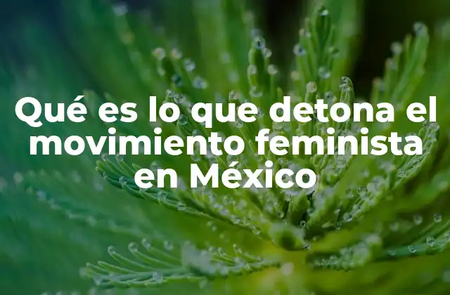 Qué es Lo que Detona el Movimiento Feminista en México