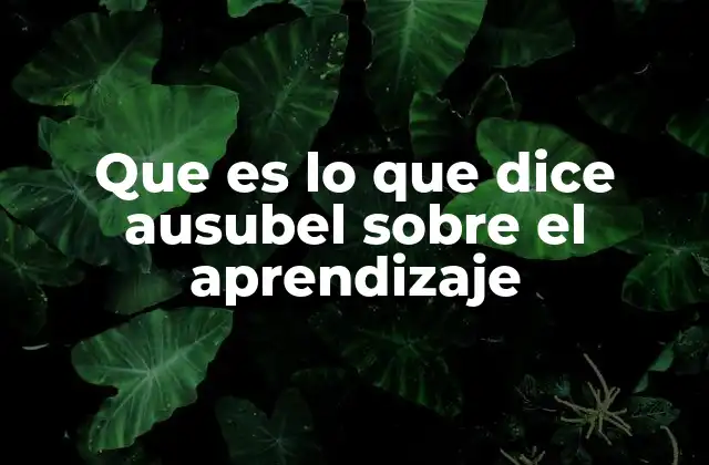 Que es Lo que Dice Ausubel sobre el Aprendizaje 2 La importancia de la estructura cognitiva en el aprendizaje