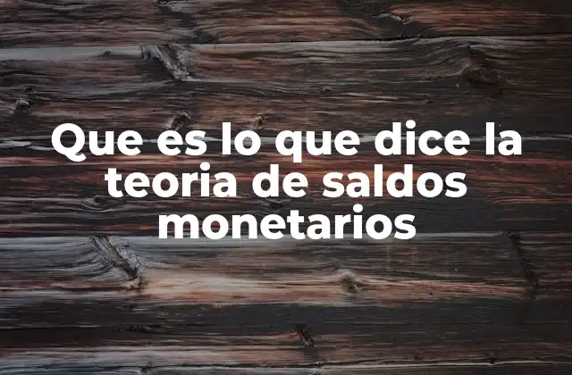 Que es Lo que Dice la Teoria de Saldos Monetarios