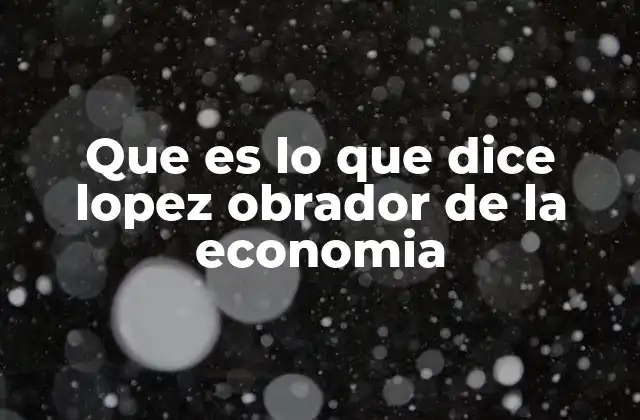 Que es Lo que Dice Lopez Obrador de la Economia