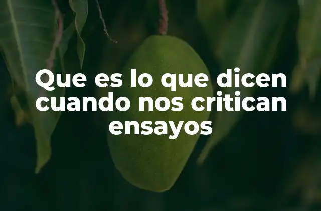 Entender el lenguaje de la crítica académica