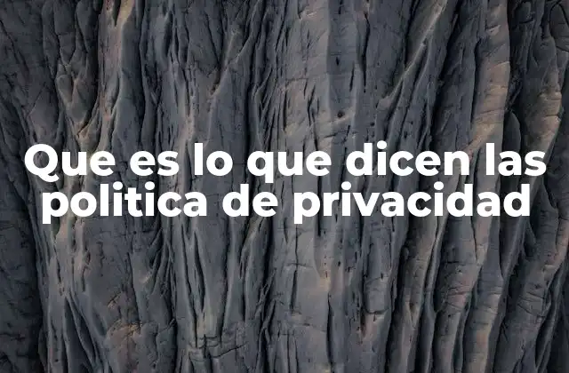 Que es Lo que Dicen las Politica de Privacidad